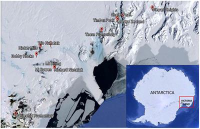 Antarctic Cryptoendolithic Fungal Communities Are Highly Adapted and Dominated by Lecanoromycetes and Dothideomycetes